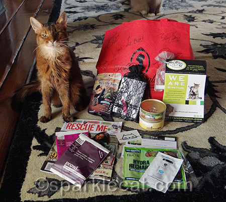 I think ALL of it should have been kitty stuff!