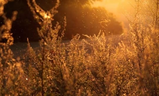 Help for Those Fighting or Grieving a Suicide