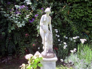 IMG_1318