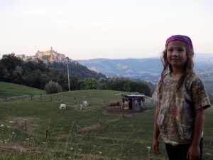 IMG_1330