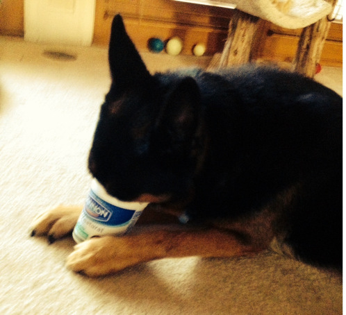 MagicYogurt