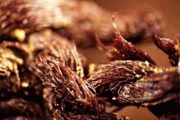 Close-up of flax yarn