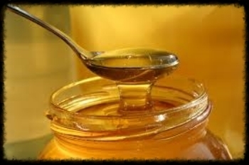  photo 2f3f36a2-be40-4262-b258-6e689e90b2d4.jpg