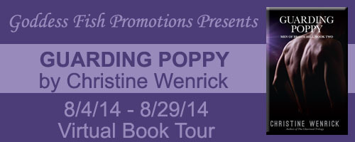 VBT Guarding Poppy Banner copy