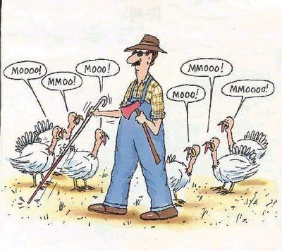 happy_thanksgiving_MooingTurkeys