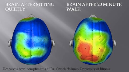 brain