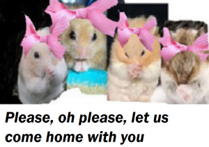 untitledlllllhhhhhhu9