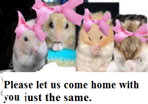 untitledlllllhhhhhhu9069