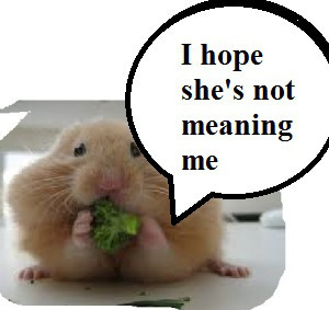 zxxxxxxxxxxxxxxxxxxxxxxxl99990