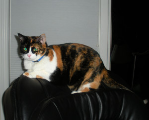 gabby