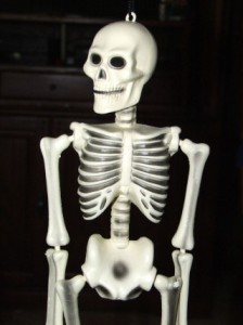 a skeleton