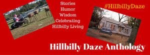 Hillbilly Daze