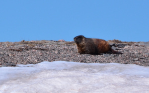 Photo courtesy of Art Rousseau with Hope for Haiti. 