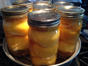 See, that wasn't so bad! Now, go ice those burns