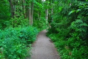 discoveryPark