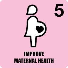 maternal health MDG
