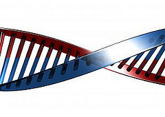 Double helix