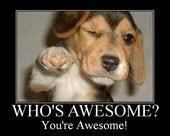 WHO'S AWESOME You're awesome photo WhosawesomeYoureAwesome.jpg