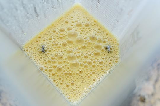 Hamburger Hamlet's Zucchini Zircles