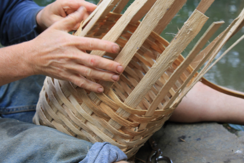 Penny and her basket. Photo by Dayna Sabatino