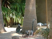 Wildlife Zoo - Aug 2014 052