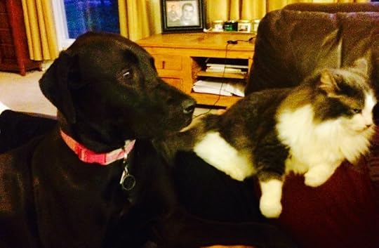 The creature keeps a paranoid watch over me. 