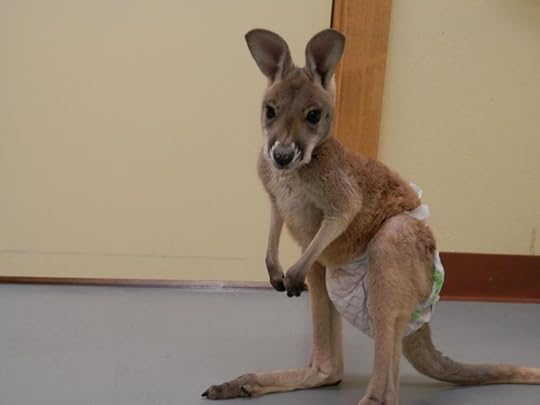  photo RedDirtHeartMatilda2_zps2196b8c8.jpg