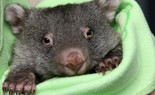  photo RedDirtHeart2Nugget_zps9931d486.jpg