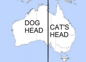 Aussie dog cat