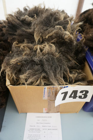 12-wool2-20140813-DSC02221