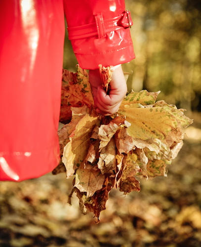 little-hand-holding-leaves