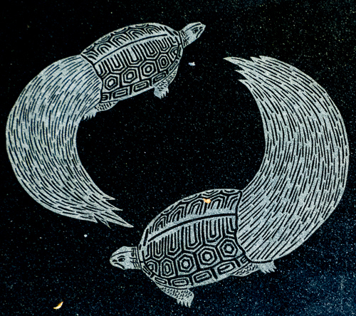 SPACE TURTLES!!!