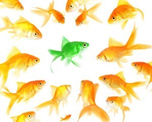 competitive advantage differentiation strategies unique selling proposition