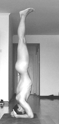 Paulo Head Stand.jpg