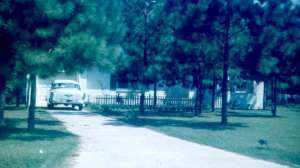 I grew up in north Florida where Emily lives. In fact, her family lives in my family's old house!