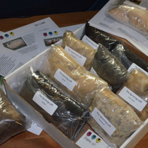 The Spinning Loft's Beth Smith Sampler.