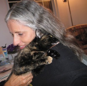 hugging cat