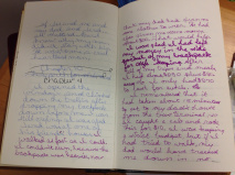 pic of text from my first novel