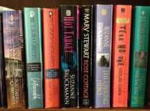 pic of books on a shelf