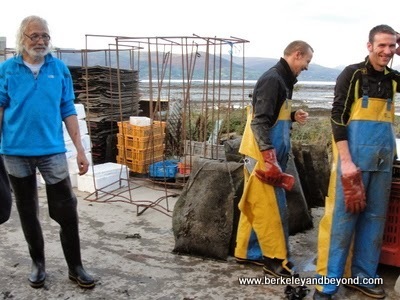 owner and workers at Carlingford Oyster Company in Carlingford, Ireland