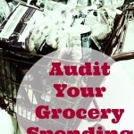 How to Audit Your Grocery Spending - Think you should be spending less on groceries and other food costs than you are? Wondering if your food budget is a realistic one? Then it may be time for a grocery spending audit.