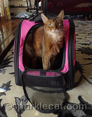 Whatever it is, I am not impressed