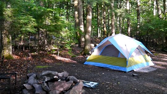 tent in woods
