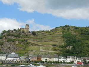 cMidRhine25 - Town, vineyard, castle