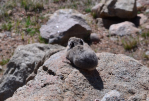 Photo courtesy of Art Rousseau with Hope for Haiti.