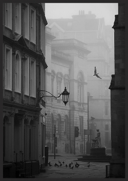  photo 6221704d-2bd4-4082-9806-2ae7c5c8f587_zpseec105d7.jpg