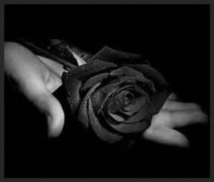  photo c38970ce-de91-40c9-9d1b-8135e7909521_zpscc21d42f.jpg