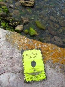 Teresa-Flavin_Jet-Black-Heart