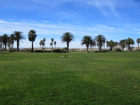 Oxnard Beach Park grass