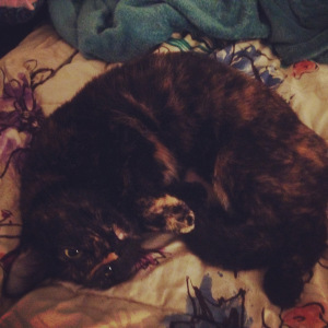 Not wanting to get out of bed in the morning.